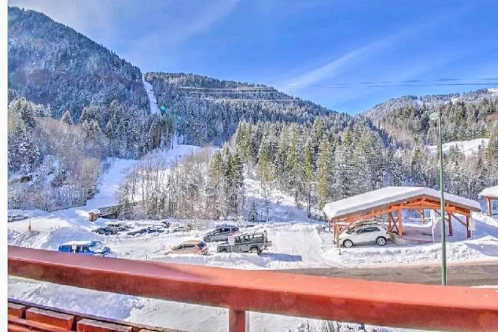 Morzine 2 Pieces Aux Pieds Des Pistes Avec Wifi Apartment 0*,  France